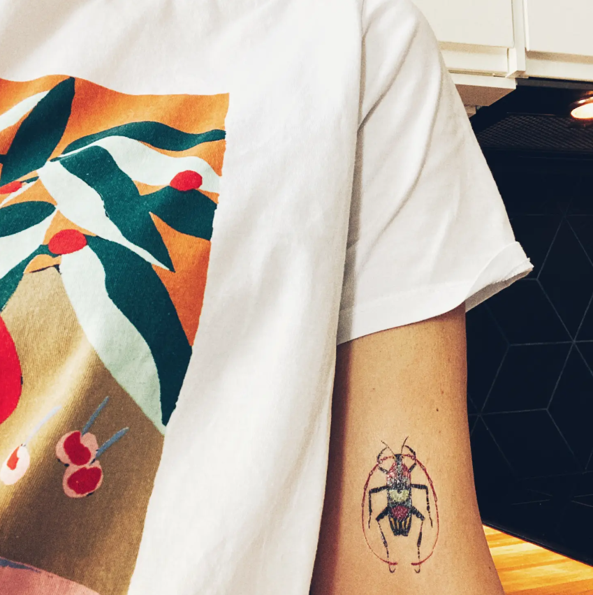 Insects - Temporary tattoos